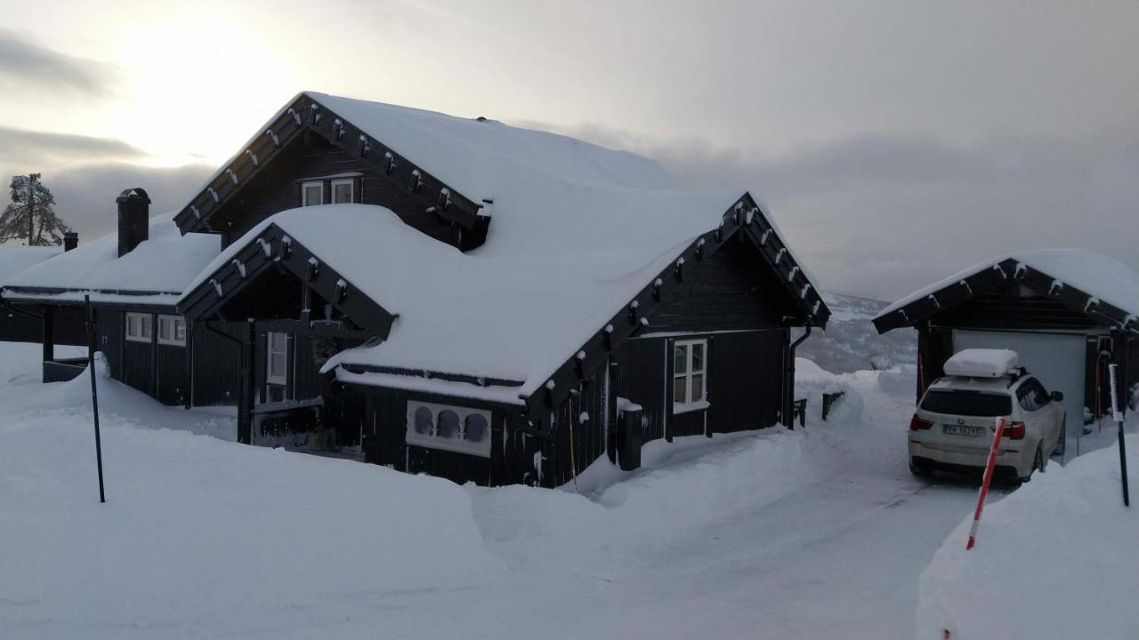 Wonderful Cabin With Amazing Mountain - View Lifjell المظهر الخارجي الصورة